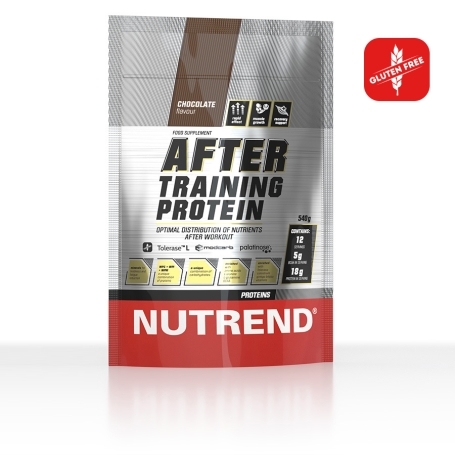 Nutrend after training protein chocolate